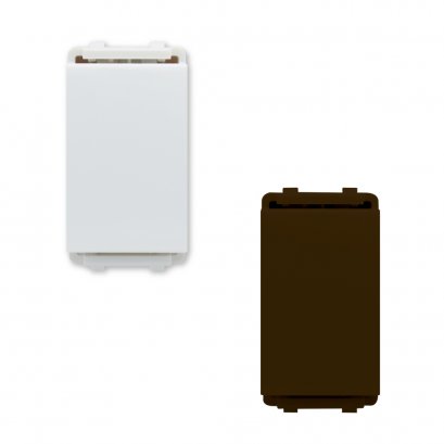 1 Gang Blank Module