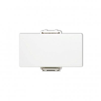 2 Way Toggle Switch 3 Module