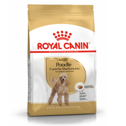 ROYAL CANIN BHN POODLE ADULT