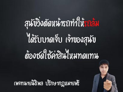 สุนัขวิ่งตัดหน้ารถทำให้รถล้มได้รับบาทเจ็บ เจ้าของสุนัขต้องรับผิดชดใช้ค่าสินไหมทดแทน - ทนายนิธิพล