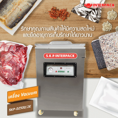 Vacuum Packing Machine Model JWDZ-500/2E