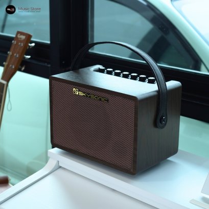 แอมป์อคูสติก Skysonic SC-25 Pro Mini Amplifier