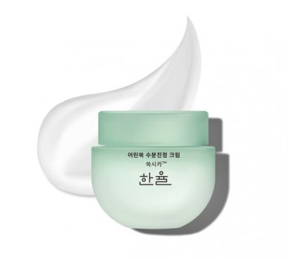 Hanyul Pure Artemisia Watery Calming Cream55ml