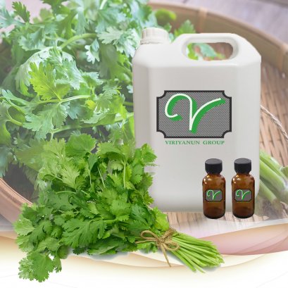 กลิ่นผักชี Coriander Herb Flavor