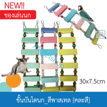 บันไดนก_สีพาสเทล / 30x7.5cm / คละสี.