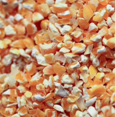 ข้าวโพด เม็ดหยาบ_1kg