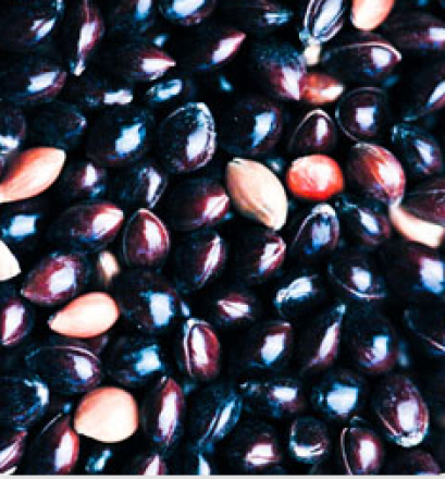 มิลเลต (ดำ)_1kg