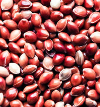 มิลเลต (แดง)_1kg