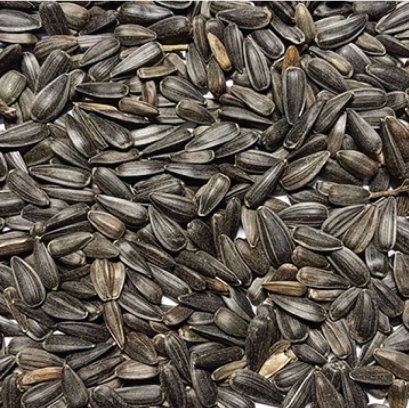 เมล็ดทานตะวัน (ฮังการี่)_1kg