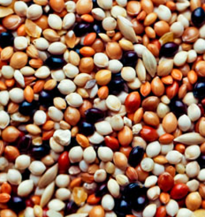 มิลเลต แบบรวม_1kg