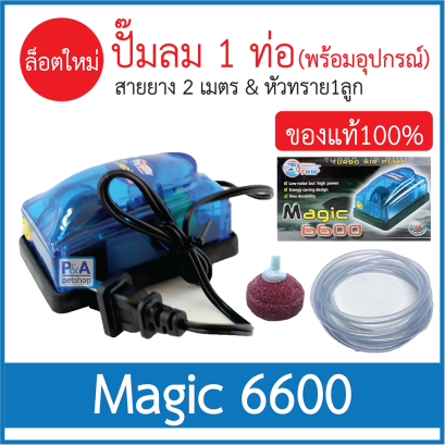 ปั๊มลมทางเดียว_เมจิค 6600