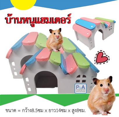 บ้านแฮมสเตอร์ _หลังคาสีรุ้ง P1