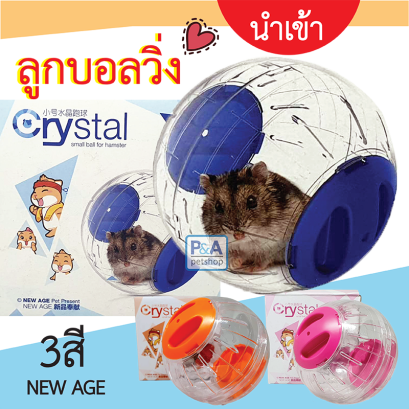 NewAge_ลูกบอลออกกำลังกายหนูแฮมสเตอร์ / โปร่งใส12ซม / คละสี