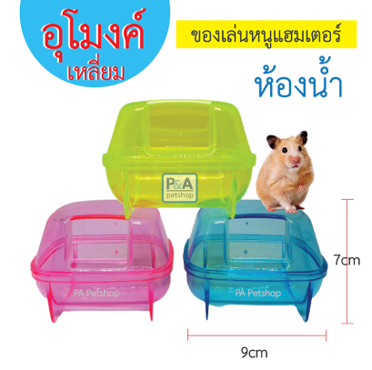 ห้องน้ำหนูเเฮมเตอร์_อุโมงค์หมีใส / คละสี (สี่เหลี่ยม)