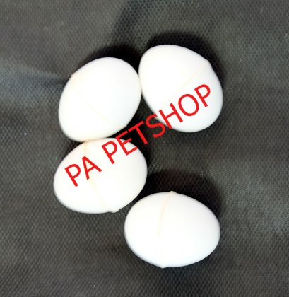 ไข่ปลอม_ของนกพิราป