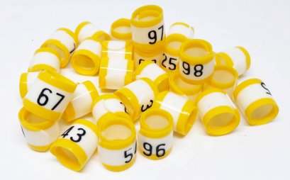 ห่วงนกพิราย(ไต้หวั่น) แบบระบุตัวเลข