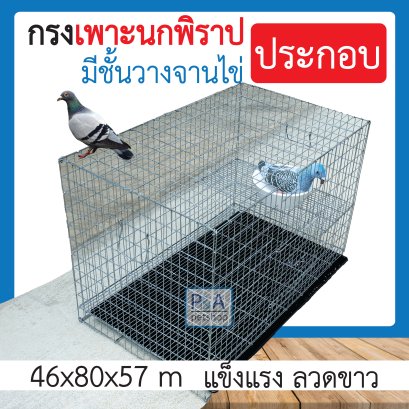 กรงนกพิราบ_รุ่นวางจานไข่[อย่างดี]