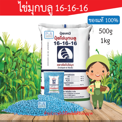 ปุ๋ยเคมี ปุ๋ยสูตร 16-16-16 _ตราเรือใบไข่มุก [1kg]