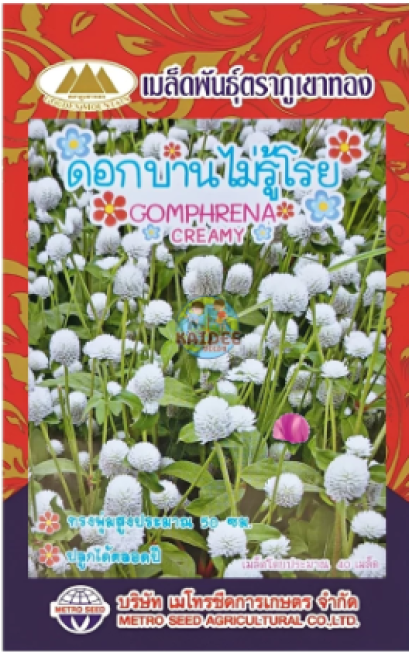 ดอกบานไม่รู้โรย_ตราภูเขาทอง