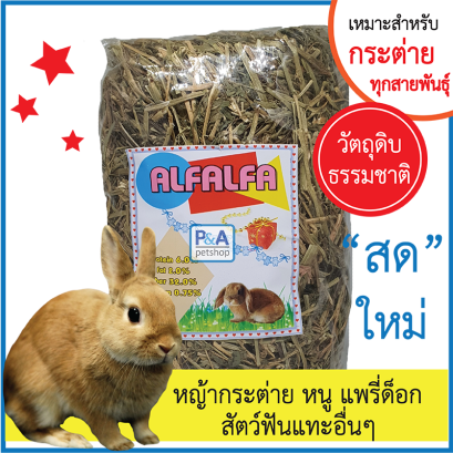 หญ้าอัลฟาฟ่า [500g]