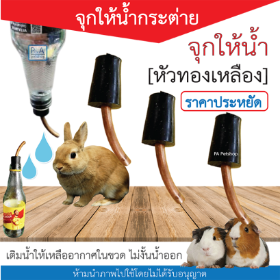 จุกป้อนน้ำกระต่าย จุกน้ำหนู [ หัวทองเหลือง ]