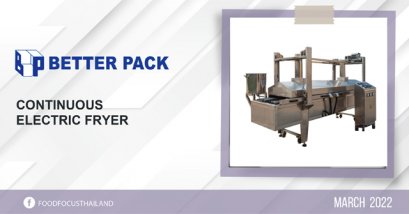 CONTINUOUS ELECTRIC FRYER