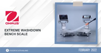 EXTREME WASHDOWN BENCH SCALE