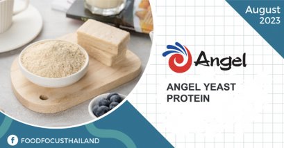 ANGEL YEAST  PROTEIN