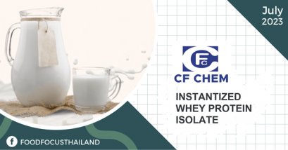 INSTANTIZED  WHEY PROTEIN ISOLATE