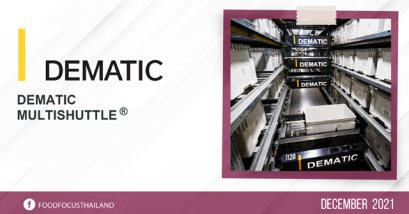 Dematic Multishuttle®