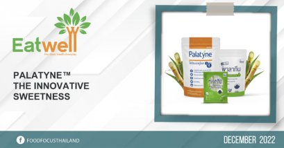 PALATYNE™️ THE INNOVATIVE  SWEETNESS