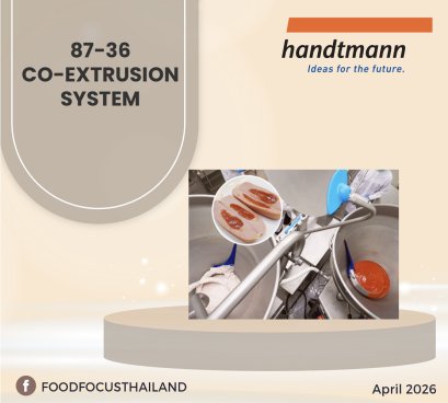 CO-EXTRUSION SYSTEM