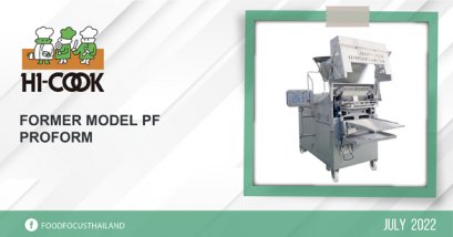 FORMER MODEL PF (PROFORM)