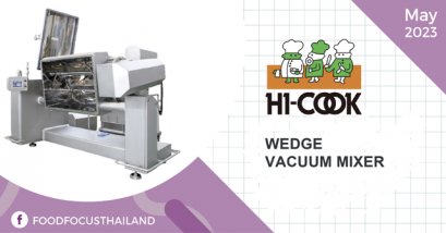 WEDGE VACUUM MIXER