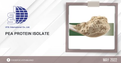 PEA PROTEIN ISOLATE