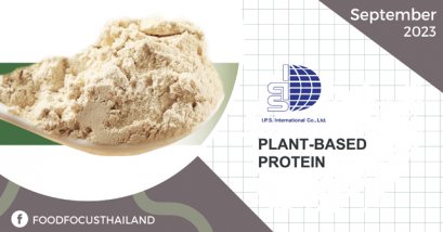 PLANT-BASED PROTEIN