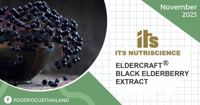 ELDERCRAFT® BLACK ELDERBERRY EXTRACT