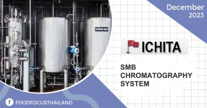 SMB CHROMATOGRAPHY SYSTEM