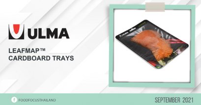 LeafMap™ Cardboard Trays