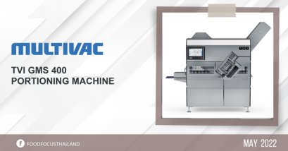 TVI GMS 400 Portioning Machine