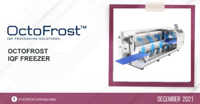 OctoFrost  IQF Freezer
