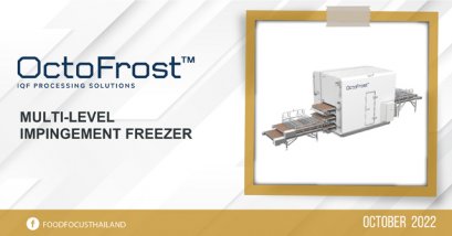 MULTI-LEVEL IMPINGEMENT  FREEZER
