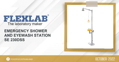 EMERGENCY SHOWER  AND EYEWASH STATION SE 230DSS