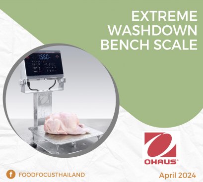 EXTREME WASHDOWN BENCH SCALE