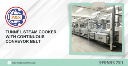 Tunnel Steam Cooker with continuous conveyor belt