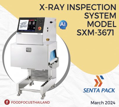 X-RAY INSPECTION SYSTEM MODEL SXM-3671