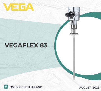 VEGAFLEX 83