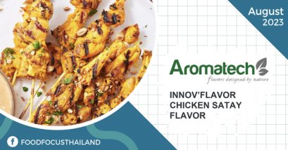 INNOV’FLAVOR CHICKEN SATAY FLAVOR