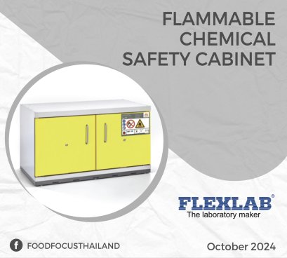 FLAMMABLE CHEMICAL SAFETY CABINET