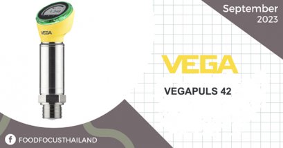 VEGAPULS 42